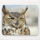 Recherche de hibou cornes tapis souris Oiseaux