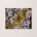 Recherche de grand papillon puzzles Fleur
