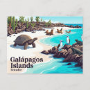 Recherche de îles de galapagos cartes postales Tortue géante