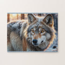 Recherche de loups puzzles Sauvage