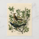 Recherche de amère cartes postales Couleur