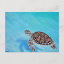 Recherche de peinture de tortue cartes postales Mer