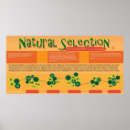Recherche de sélection naturelle Science