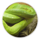 Recherche de reptile boutons et poignées de porte Mignon