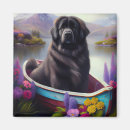 Recherche de voile magnets Eau