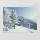 Recherche de couverts cartes postales Froid
