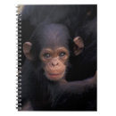 Recherche de parc national de gombe Biologie