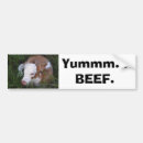 Recherche de végétarisme voiture autocollants Viande