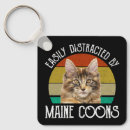 Recherche de maine coon porteclés Chaton
