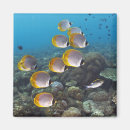 Recherche de animaux sous marins magnets Poisson
