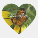 Recherche de minuscule photographie Nature