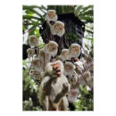 Recherche de copie de nature posters Fleur