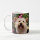 Recherche de terrier cairn tasses Terriers