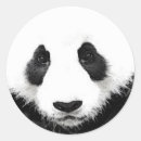 Recherche de panda noël autocollants Nature