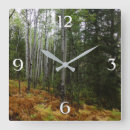 Recherche de bouleau blanc horloges Forêt