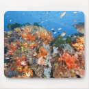 Recherche de structures tapis souris Nature