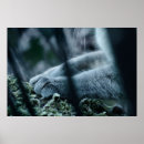 Recherche de paws posters Cute