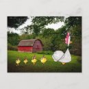 Recherche de poules et poussins cartes postales Poulet