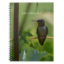 Recherche de branche photographie Arbre