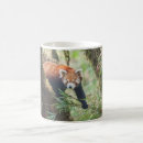 Recherche de panda rouge mugs bouteilles Unique