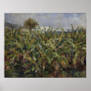 Recherche de bananier posters Paysage
