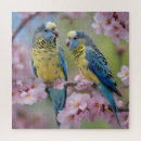 Recherche de perroquets sauvages puzzles Jaune