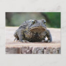 Recherche de crapaud cartes postales Rog