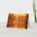 Recherche de cypress tree cartes postales Parc d'état george smith