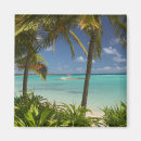 Recherche de antilles magnets Plage