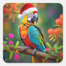 Recherche de de perroquet autocollants Noël