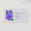 Recherche de pétunia cartes visite Floral