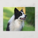 Recherche de chien blanc posters Noir