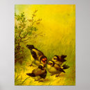 Recherche de oiseau sauvage posters Moineau