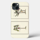 Recherche de paume coques Arbres