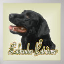Recherche de labrador retriever art Labs