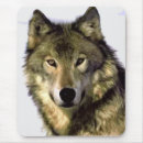 Recherche de loup tapis souris Chien