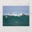 Recherche de surfing cartes postales Océan