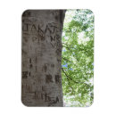 Recherche de arbre magnets Nature