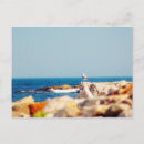 Recherche de oiseau mer cartes postales Extérieur