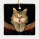 Recherche de tabby cat ornements Chaton