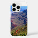 Recherche de arizona iphone coques Parc national