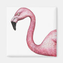 Recherche de vif magnets Tropical