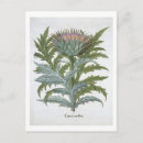 Recherche de fleurs 19ème cartes postales École