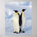 Recherche de empereurs posters Animaux