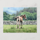 Recherche de poney peinture cartes postales Animaux