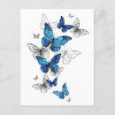 Recherche de papillons bleus cartes postales Illustration
