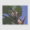 Recherche de 2 10 magnets Photographie