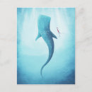 Recherche de requins cartes postales Requin baleine