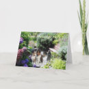 Recherche de sheltie vœux cartes Chien de berger