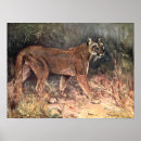 Recherche de animal puma posters Jaguar